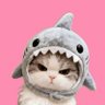 Profilbild von ลำหับ 🫧◞♡ 's