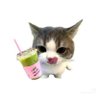 Profilbild von Li Youdou