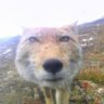 Profilbild von bkn-006