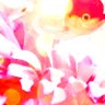 きん 的头像