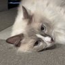 M3 profil fotoğrafı