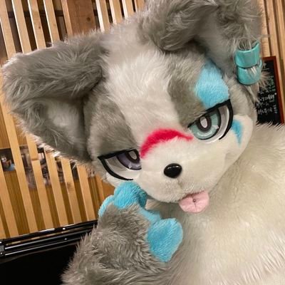syouganaiyatumi's profile picture