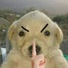 JHON G's profile picture