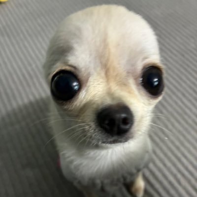 하녹's profile picture