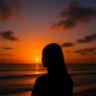 Lifi Me || profil fotoğrafı