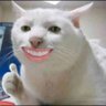segar profil fotoğrafı