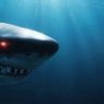 Фото профиля redeyestealshark
