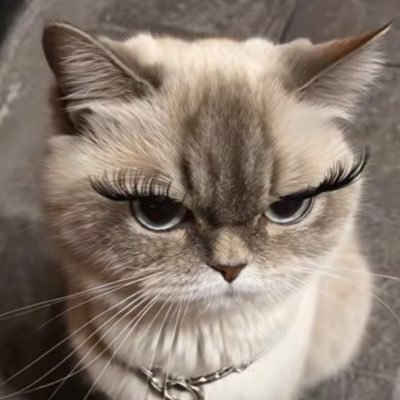 galaxxy006's profile picture