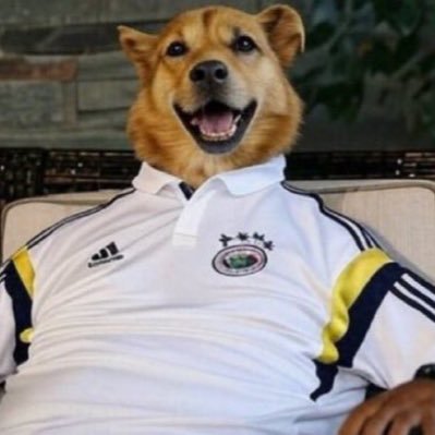 emirschillaci's profile picture