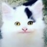 Jax profil fotoğrafı