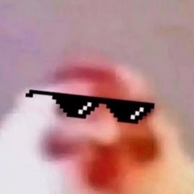 nuttchicken (the second)🇮🇷's profile picture