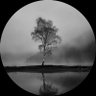 Oranix's profile picture
