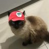 Sabrina 的头像