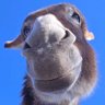 nongname profil fotoğrafı