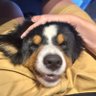 Profilbild von Wandering