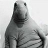 Profilbild von The Penis Man