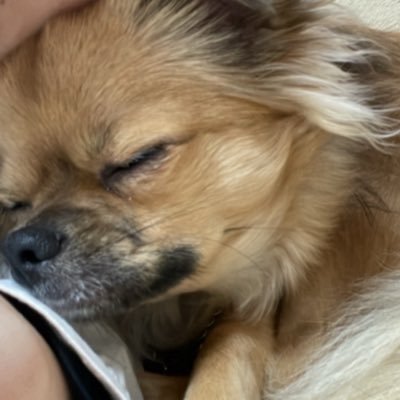 ãã£ã¡ãŒð¶'s profile picture