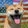 longhawl's profile picture