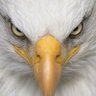 Profilbild von Bill Imasuen