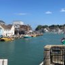 Weymouth Red 🇬🇧 profil fotoğrafı