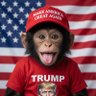 MAGA CHANGO🇺🇸✝️🙏🏽✝️'s profile picture
