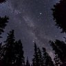 Mizu profil fotoğrafı