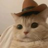 average midwest cracker's profile picture