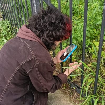 rio 🪲🏳️🌈 bug oomf's profile picture