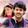 Darling Sai's profile picture