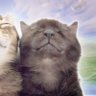 Profilbild von bea