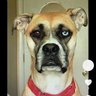 SM profil fotoğrafı