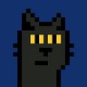 wplusr's profile picture