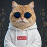 ..........'s profile picture