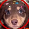 Profilbild von chloe