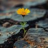 Gm profil fotoğrafı