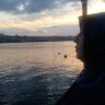 SuzanCevik's profile picture