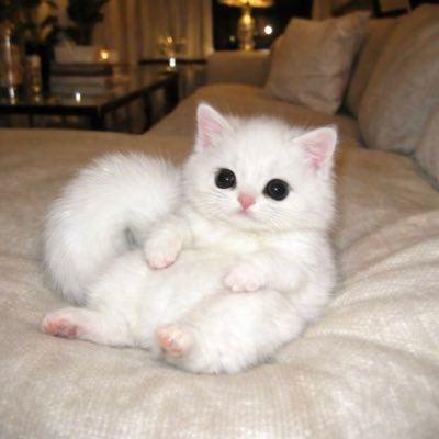 徐恩允's profile picture