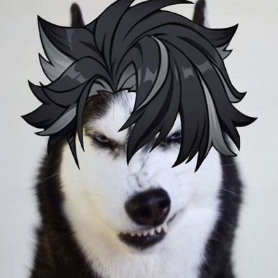 DayWriothesley's profile picture