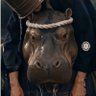 カバオヤジ profil fotoğrafı