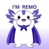 Фото профиля Remo
