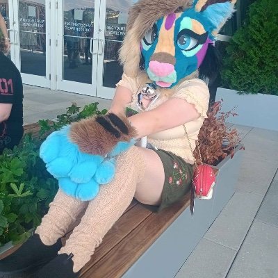 🐺 ᵒʷᵒ ✦ yote girl's profile picture