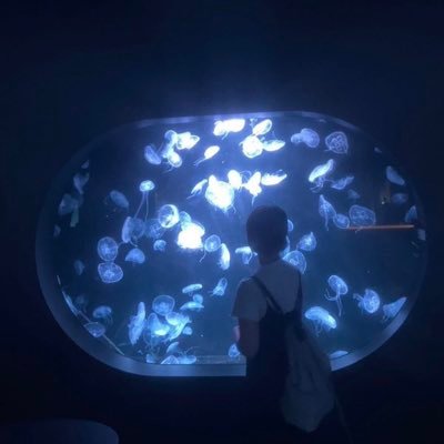Rr67194332's profile picture