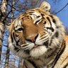 Bagh's profile picture