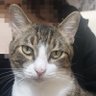 Kika's profile picture