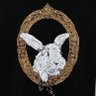 ginseng's profile picture