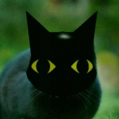 SharkyLeo's profile picture