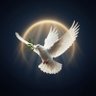 TRUTH🕊️ profil fotoğrafı