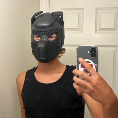 DanyPupBoy's profile picture