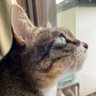 Фото профиля きょん