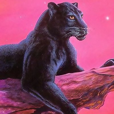 paladarnegro10's profile picture